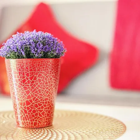 Διαμέρισμα 8210 Wifi